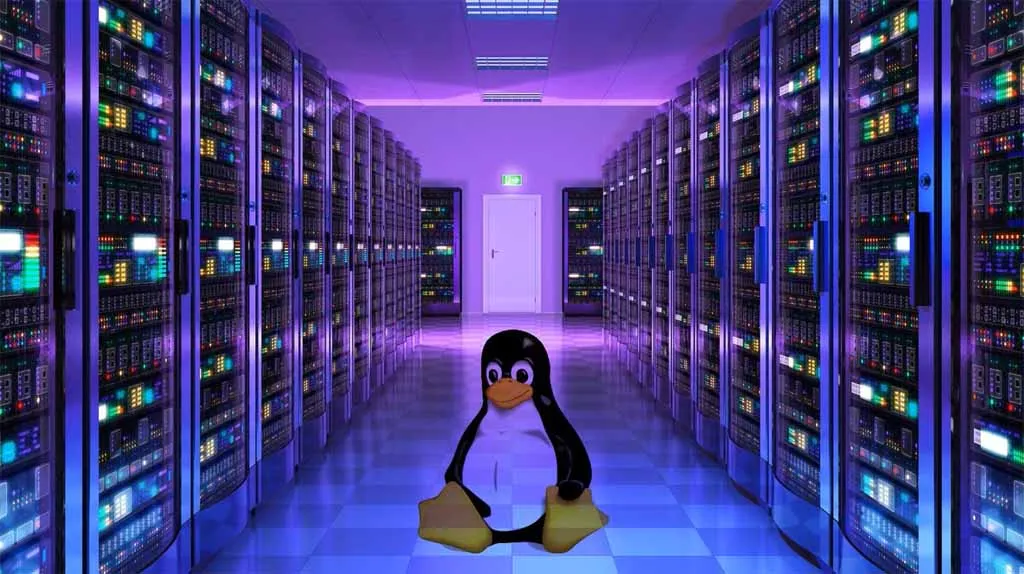 Why Do So Many Servers Still Run Linux