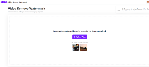 How to Remove Watermarks from Video without Blur